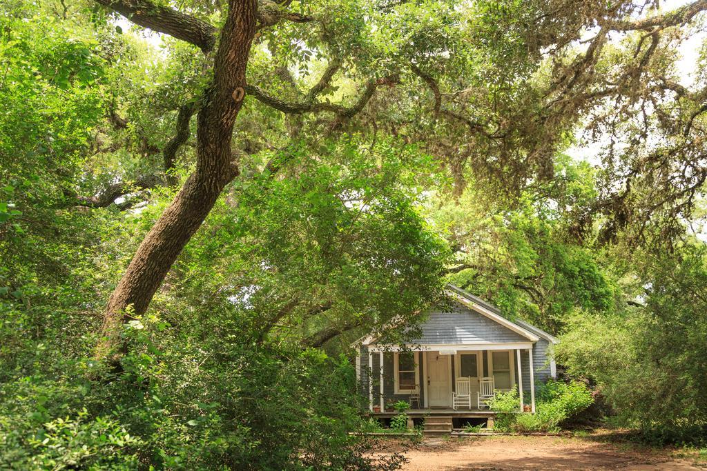 Blisswood Bed And Breakfast Ranch Cat Spring Exterior photo