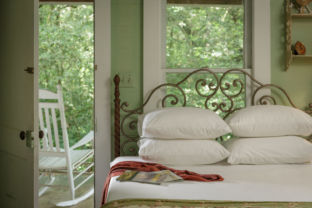 Blisswood Bed And Breakfast Ranch Cat Spring Exterior photo